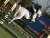 IN CONCORSO