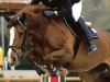 IN CONCORSO